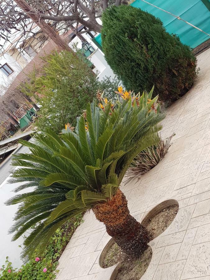 Olgas Villa Agia Marina  Extérieur photo